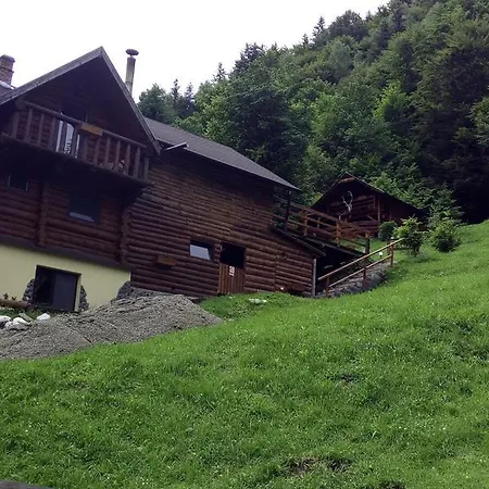 Holiday home Casa Craita Zarnesti
