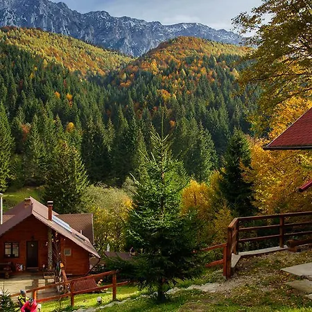 Casa Craita Zarnesti